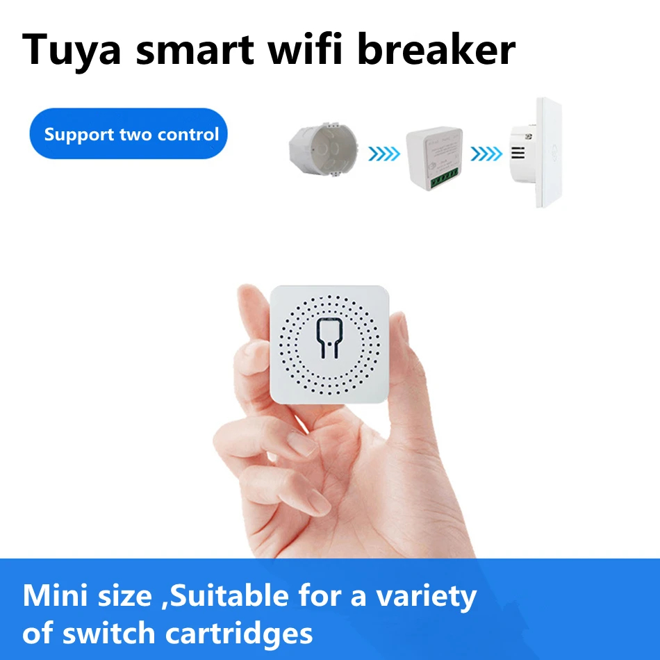 2 Way Control Tuya Mini 16A Wi - огляд і ціна Home Automation Diy