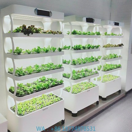 Hydroponic Automated Grow Syst - огляд і ціна Diy Automation
